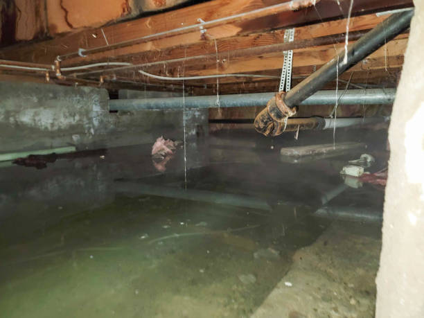 24/7 water damage repair in MT