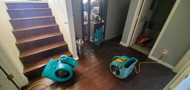 Best Residential water damage restoration  in Lolo, MT
