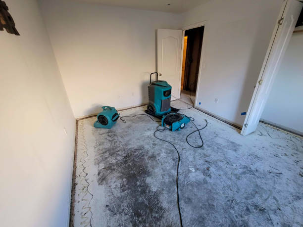 Best Emergency water damage restoration  in Lolo, MT