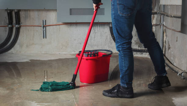 Best Sewage cleanup and water damage restoration  in Lolo, MT