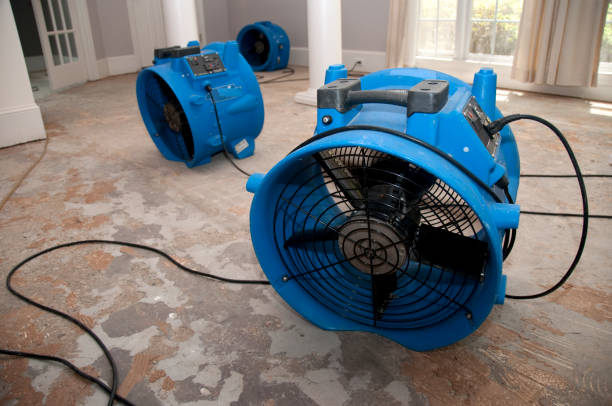 Best 24/7 water damage repair  in Lolo, MT