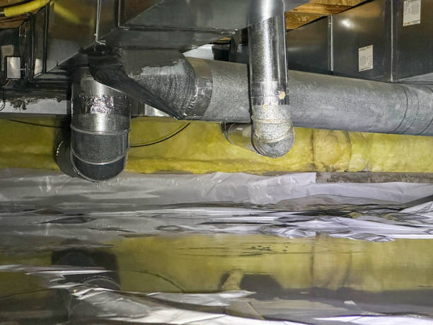 Best Water damage contractors near me  in Lolo, MT