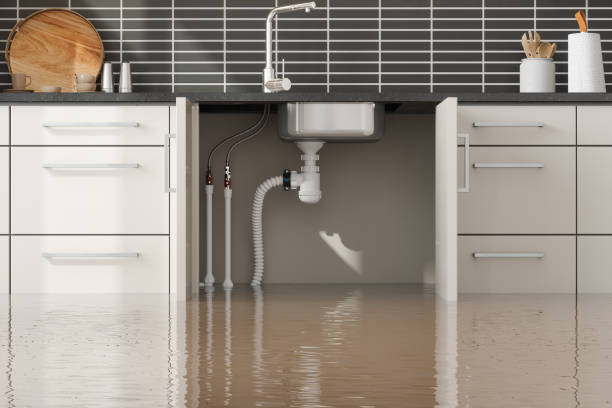 Best Local water damage restoration  in Lolo, MT