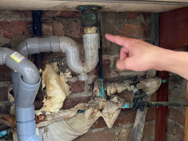 Best Ceiling water damage repair  in Lolo, MT